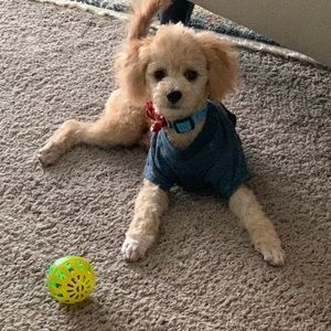 Meet your Posher, Patricia